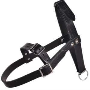 Reguliuojamo dydžio kantaras su dviem sagtimis specialiai pritaikytas avinams.