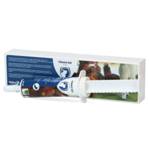 Vitamin gel AD3E